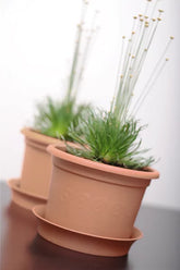 Vazonėlis gėlėms PLASTICA 257x340